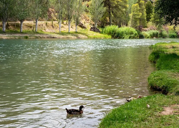 Playa De Rio Дом отдыха